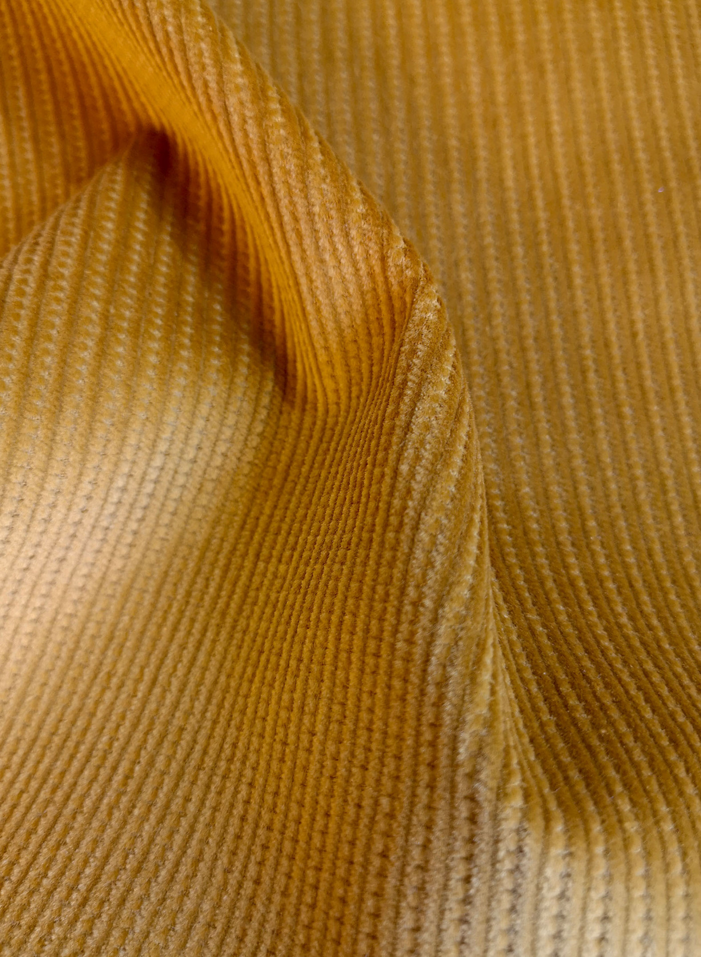 Trix 23 Col Curry Pic2