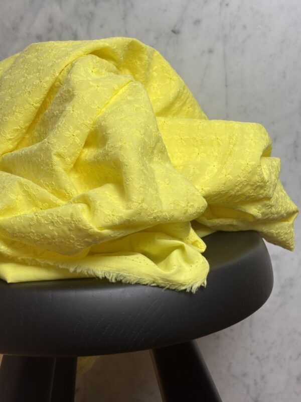 BOX COUPON 2 MÈTRES BRODERIE ANGLAISE - JAUNE